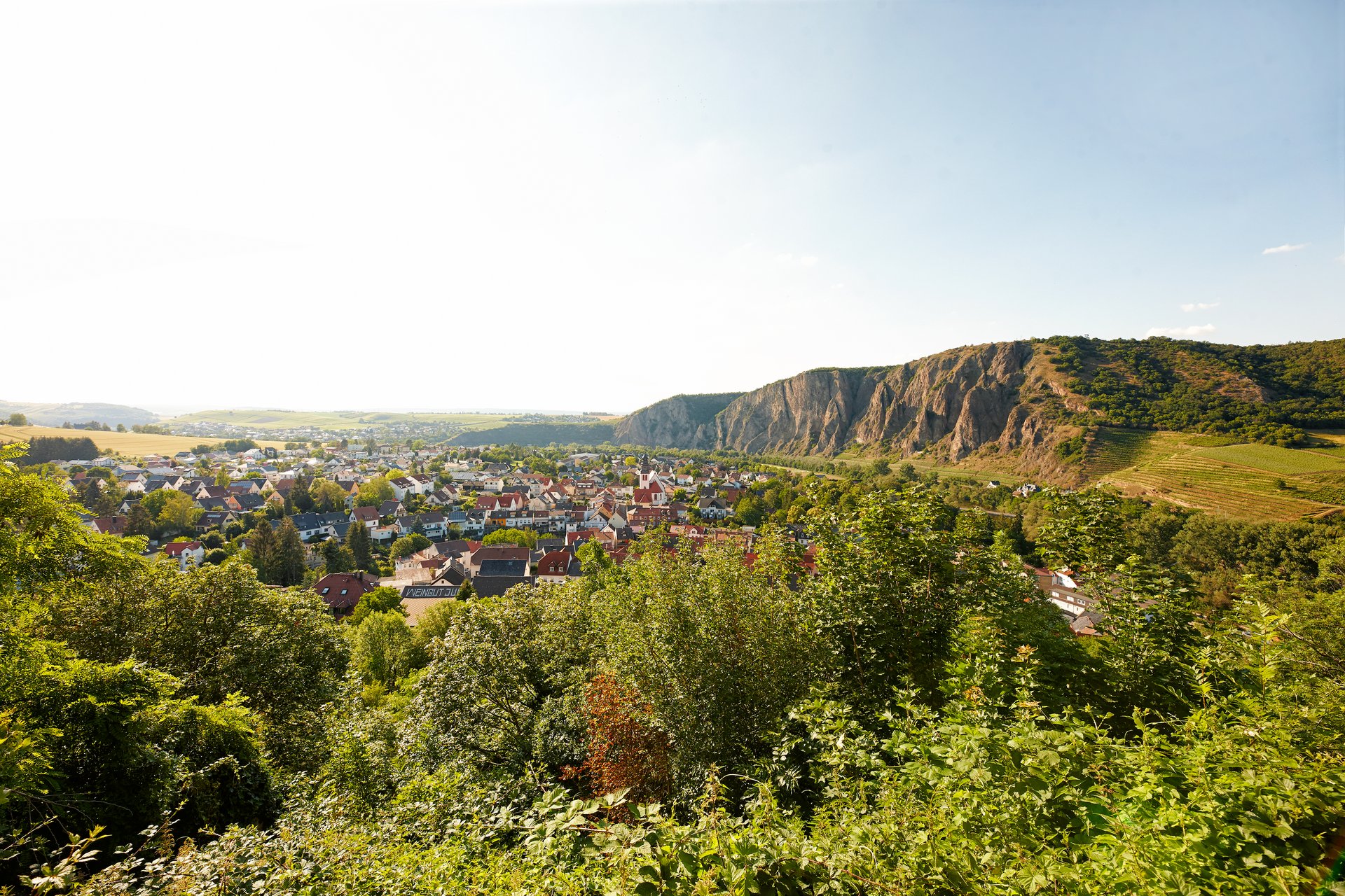 Stadt Bad Kreuznach im Nahe-Tal mit dem Berg Rotenfels im Hintergrund - Rheumazentrum Rheinland-Pfalz